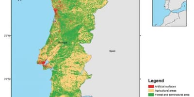 Mappa del Portogallo foreste