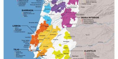 Mappa del vino del Portogallo